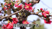 石家庄丝弦戏曲大全免费下载《秦香莲后传》桃花飘香春喧闹 元氏票友李淑英演唱