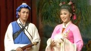 黄梅戏视频下载免费《天仙配》仙女请得土地