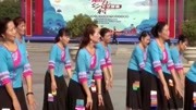 辣妈广场舞教学视频大全免费下载《卓玛泉》