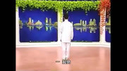 太极拳教学视频免费下载 48式杨式太极拳步