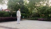 太极拳教学视频免费下载 杨氏太极拳85式
