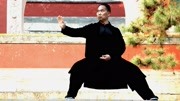 陈氏太极拳教学视频免费下载 七十四式第三
