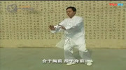 太极拳教学视频免费下载 陈式太极拳精要十