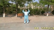 八段锦高清教学视频下载 混元太极拳38式炮