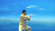陈氏太极拳教学视频免费下载