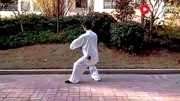 太极拳教学视频免费下载 国家武术七段太极