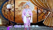经典越剧mp4下载《我家有个小九妹》贺玲表