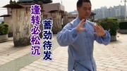 太极拳教学视频免费下载 练太极拳做好逢转