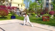 八段锦高清教学视频下载 陈式太极拳56式