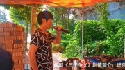 河南曲剧戏曲免费本地下载mp3《三子争父》