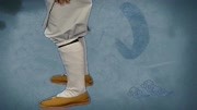 少林易筋经全套教学视频免费下载  9 青龙探