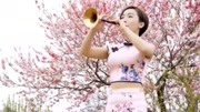 唢呐名曲mp3下载 唢呐美女独奏一首《舞女泪