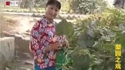 民间小调下载免费mp4《女二流子》十二个月