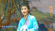 黄梅戏下载免费mp4《天仙配》三年长工改百
