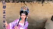 黄梅戏mp4格式下载《天仙配》唱段 经典名段