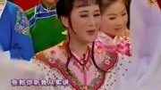 免费下载越剧唱段《追鱼》张郎你听我从实讲