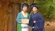 黄梅戏视频免费下载网站《杨三笑讨饭》婆婆