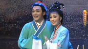 黄梅戏下载免费mp4《天仙配》树上的鸟儿成