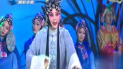 豫剧全集视频mp4打包下载《打金枝》《秦香