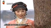 河南豫剧名家名段精选下载《泪洒相思地》湖边话别 李金枝 李云演唱下载