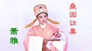 越剧名家名段mp4免费下载《桑园访妻》表演萧雅下载