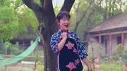 湖南花鼓戏《野鸭洲》片段节选 免费下载mp4