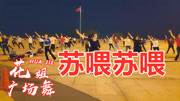 中老年健身操教学视频mp4免费下载	《苏喂苏
