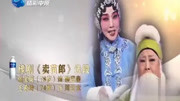 梨园春豫剧《卖苗郎》78岁名家张宝英出演  戏曲名段免费下载下载
