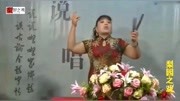 河南长篇坠子大全下载《呼家将》选段 很经