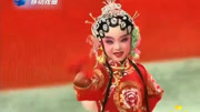 豫剧免费下载mp4高清《花打朝》选段 表演 