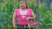 民间小调mp4格式下载网址《越老越风流》在