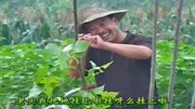 民间小调mp4格式下载网址《越老越风流》碰