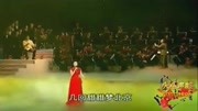 京剧下载免费mp4高清《望江亭》见贼子不由