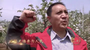 河北梆子下载免费mp4《李保国》选段 看邱瑞