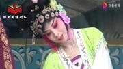 河南曲剧免费下载mp4高清《曹保山招亲》选