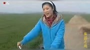 民间小调下载免费mp4《小姨借种子》