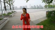 沪剧mp3下载免费下载《金丝鸟》金锭演唱