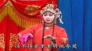 河北梆子下载免费mp4《蝴蝶杯》卢凤英撩罗