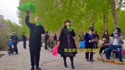 二人转mp4免费下载《西厢观花》表演者 草根