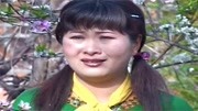 民间小调mp4格式下载网址《老婆孩子不让人