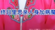淮剧《二度梅》全场戏曲免费下载mp4高清