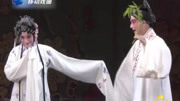 昆曲戏曲下载免费mp4   《牡丹亭》选段 则