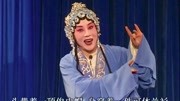 山东吕剧mp4免费下载《井台会》郭清清 李宏伟演唱下载