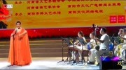 河南坠子下载mp3打包下载《长征托婴》太经
