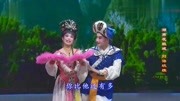 湖南花鼓戏免费下载mp4高清《刘海砍樵》陈适宜 徐芬芬表演下载