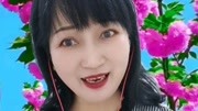 河北梆子下载免费mp3《蝴蝶杯》经典唱段字