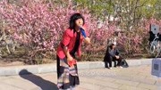 二人转免费下载mp4高清《葡梅架》表演者 小