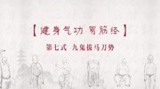 易筋经教学视频口令下载 第七式九鬼拔马刀