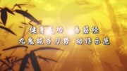 易筋经第七式九鬼拔马刀势动作示范  教学视