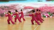 《杨氏40式太极拳》健康养生修身养性 教学视频下载网站免费下载